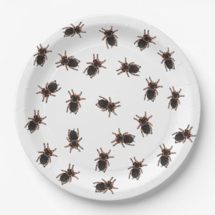 Customise Tarantulas Paper Plate