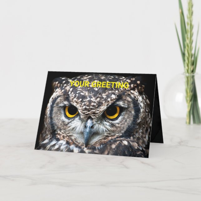 Customise This Owl Card With Your Own Message (Front)