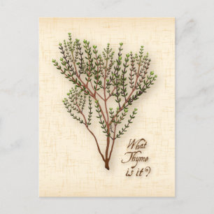 Customise What Thyme Is It? Postcard