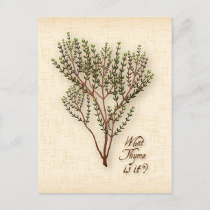 Customise What Thyme Is It? Postcard