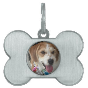 Customise With Your Dog's Photo Pet ID Tag