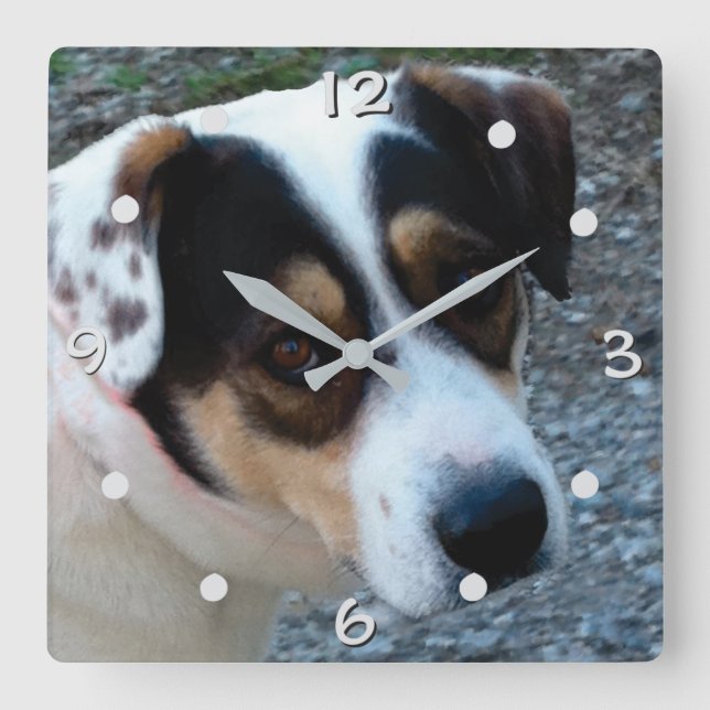 customise with your own pet wall clock (Front)