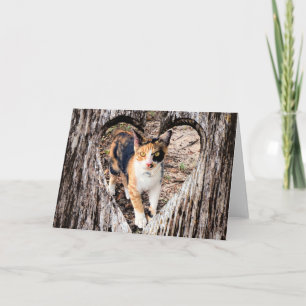 Customise with Your Own Pic! Card