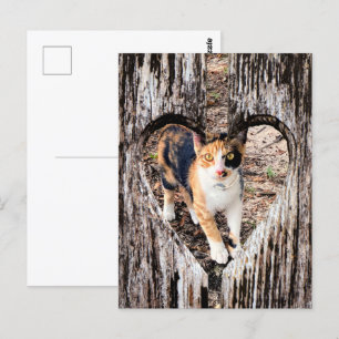 Customise with Your Own Pic! Postcard
