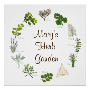 Customise Your Herb Garden Poster