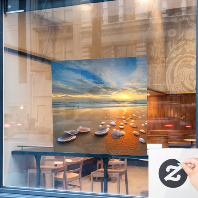 Customise Your Own Beautiful Clear Ocean Seashells (Cafe Window)