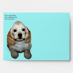 Customise your own envelope