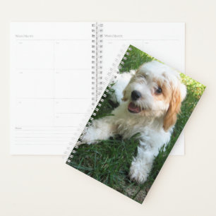 Customised Cavachon Photo, Dog Planner