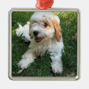 Customised Cavachon Photo Ornament, Dog Metal Tree Decoration