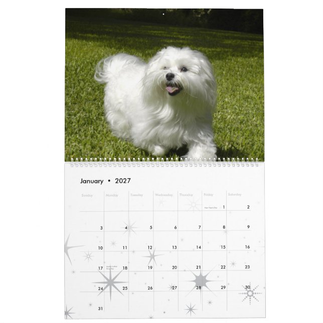 Customised Pet Calendar (Jan 2027)