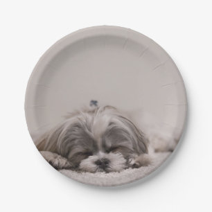 Customised Shih tzu Plate, Sleeping Dog Paper Plate