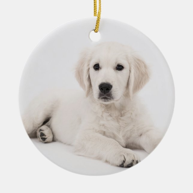customised with photo pet memorial ceramic tree decoration (Front)