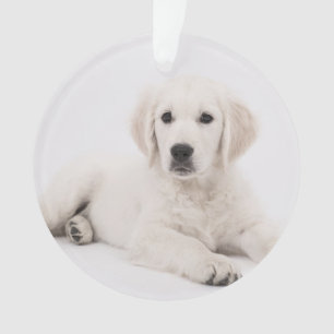 customised with photo pet memorial ornament