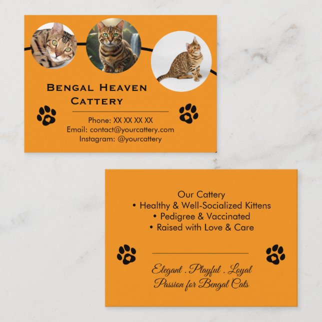 Customizable Bengal Cattery Business Card Template (Front/Back)