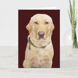 Customizable Birthday Card