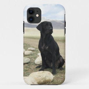 Customizable Black Labrador Retriever iPhone 11 Case