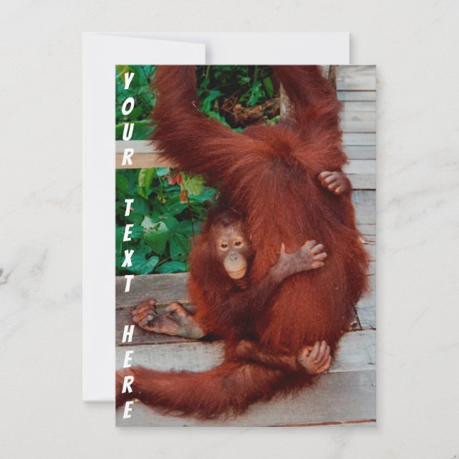 Customizable Borneo orangutan card (Front)