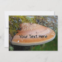 Customizable bracket fungus Card