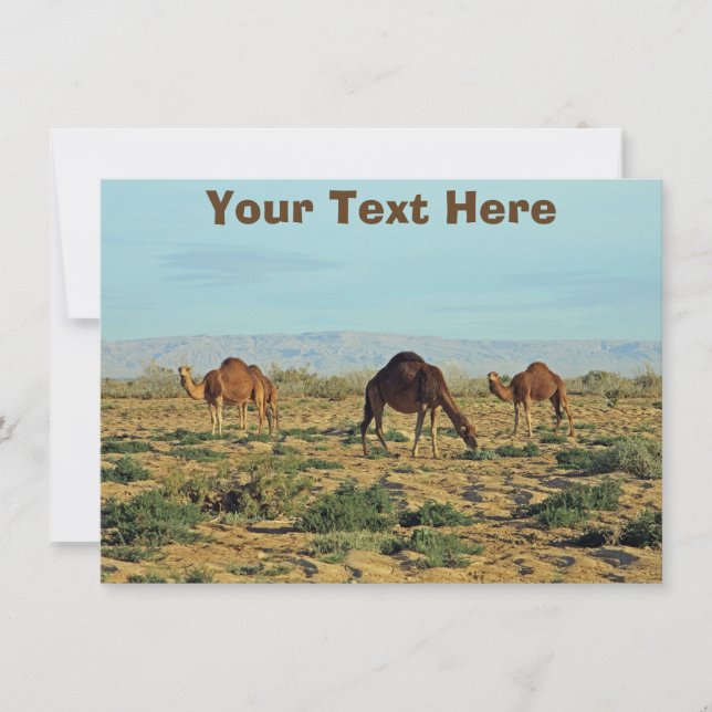 Customizable camels card (Front)
