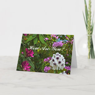 CUSTOMIZABLE CARD, "HOW ARE YOU?"/RHODODENDRON CARD