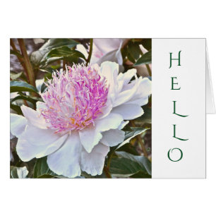 CUSTOMIZABLE CARD /WHITE AND PINK PEONY/HELLO