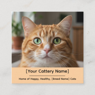 Customizable Cattery Business Card with Cat Photo 