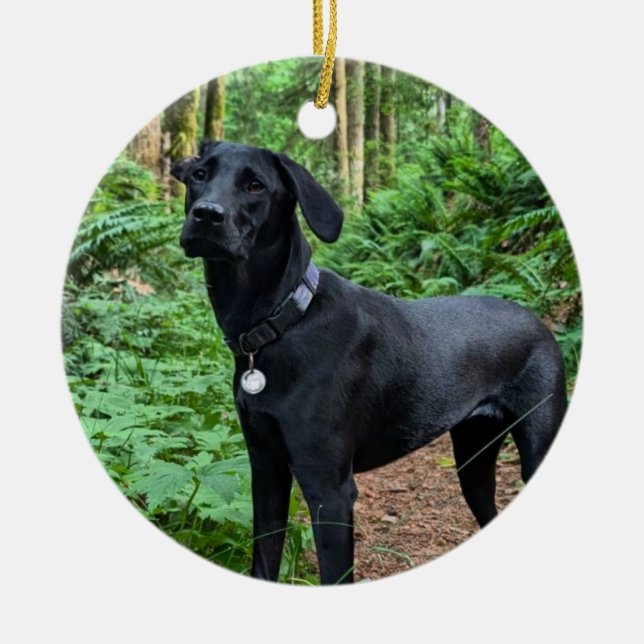 Customizable Ceramic Ornament (Front)