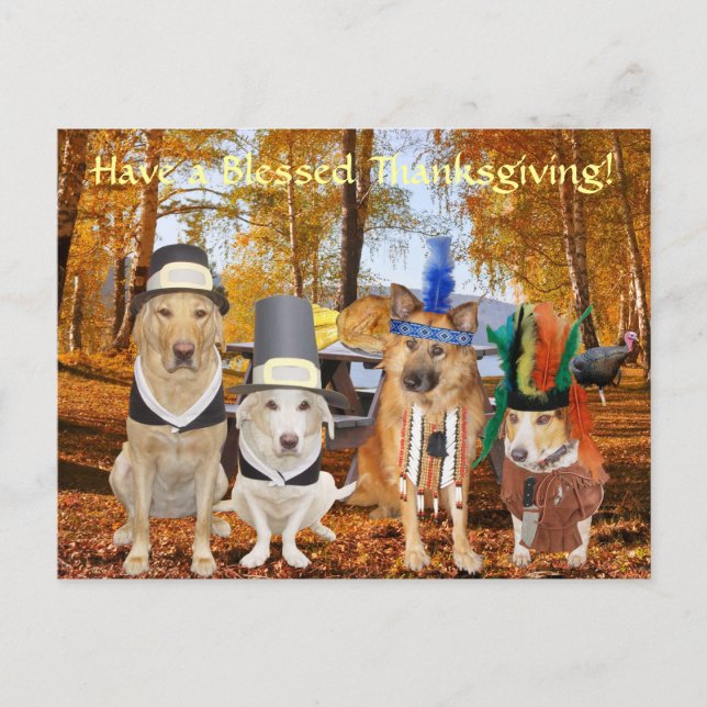 Customizable Cute Lab/Dog Pilgrims & Chiefs Holiday Postcard (Front)