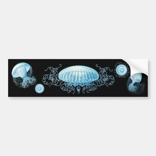 Customizable Haeckel Jellyfish Bumper Sticker
