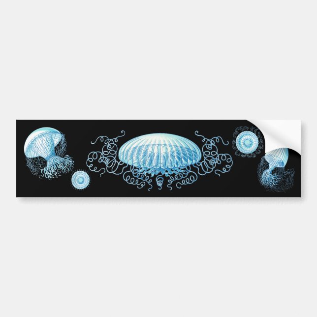 Customizable Haeckel Jellyfish Bumper Sticker (Front)