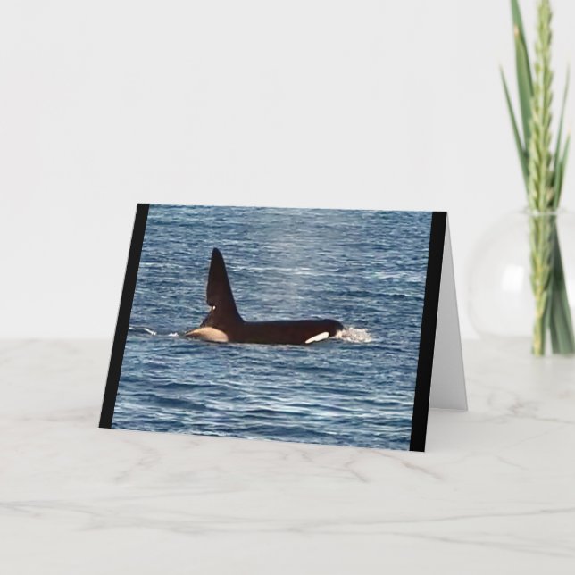 Customizable John Coe Killer Whale West Coast Orca Card (Front)