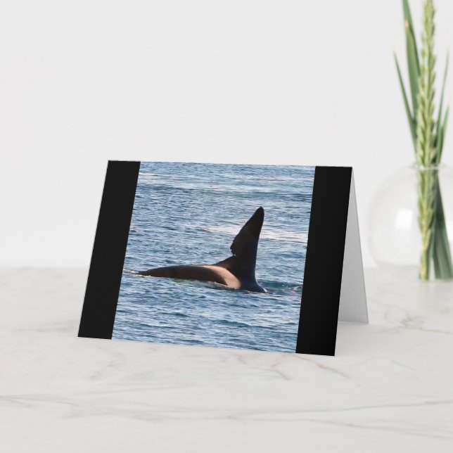 Customizable John Coe Killer Whale West Coast Orca Card (Front)