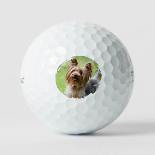 Customizable Pet Photo Pet Parents Golf Lover Gift Balls (Front)