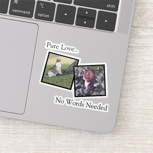 Customizable Pet Photo vinyl Sticker (Detail)