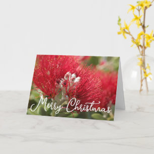 CUSTOMIZABLE POHUTAKAWA XMAS KIWI CARD