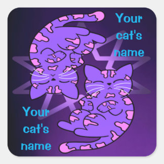 Customizable Purple Gemini Kittens Decagon Purple Square Sticker
