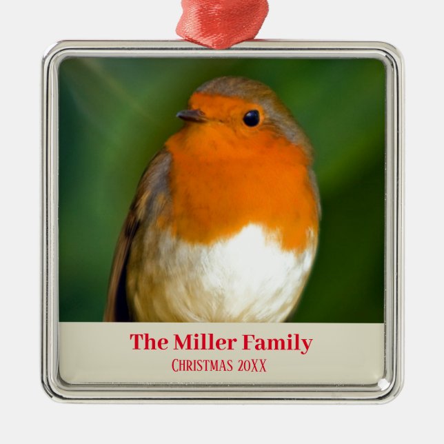Customizable Robin Red Breast Metal Tree Decoration (Front)