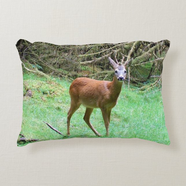 Customizable Roe Deer Buck Posing Decorative Cushion (Front)