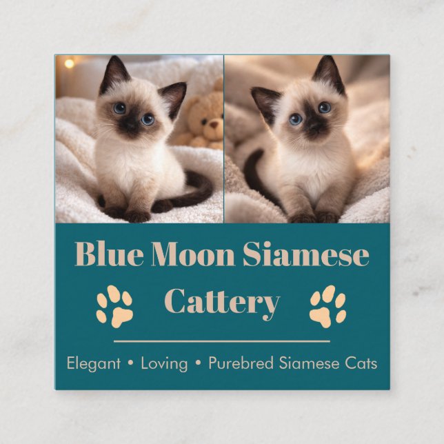 Customizable Siamese Cattery Business Card  (Front)