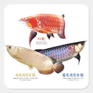 customize a product square sticker