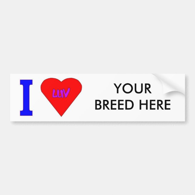 CUSTOMIZE YOUR OWN BUMPER STICKER (Front)