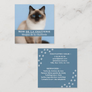 Customized elegant cat breeder business card