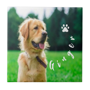  Customized Pet  Photo Dog Lover with Photo Tile