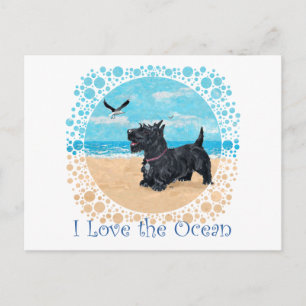 CUSTOMIZED Scottie Beach Postcard