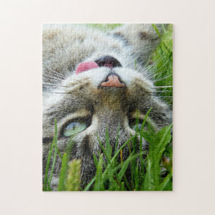 Cut Cat puzzels Jigsaw Puzzle