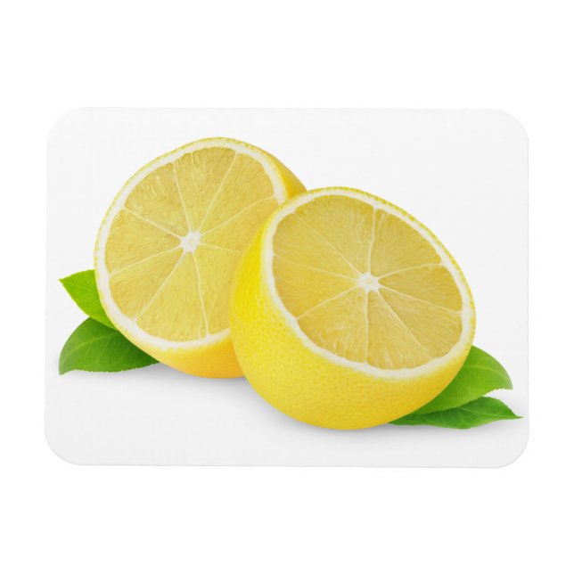 Cut lemon magnet (Horizontal)