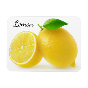 Cut lemons magnet