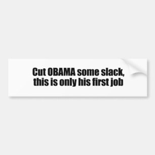 Cut Obama some slack, this is his first job Bumper Sticker