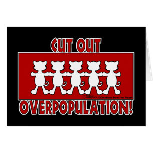 Cut Out Overpopulation! Cats