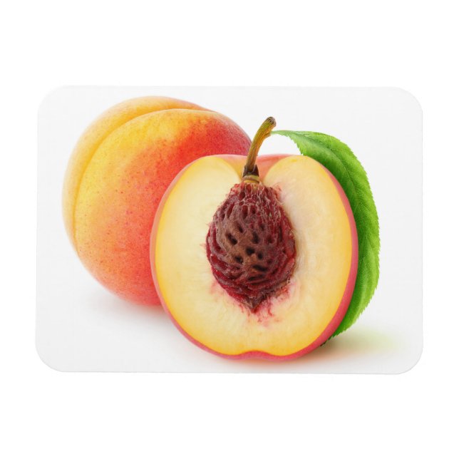 Cut peaches magnet (Horizontal)